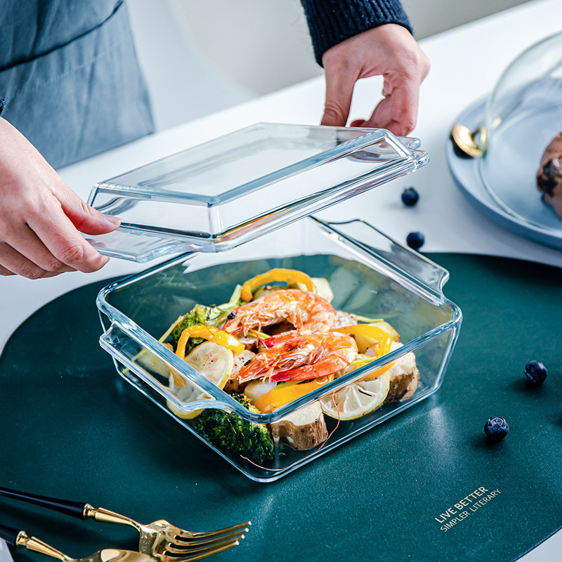 Fridge-to-Oven Square High borosilicate Glass Casserole Dish