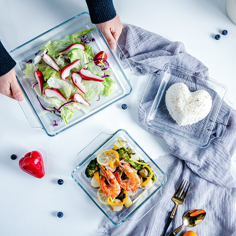 Fridge-to-Oven Square High borosilicate Glass Casserole Dish